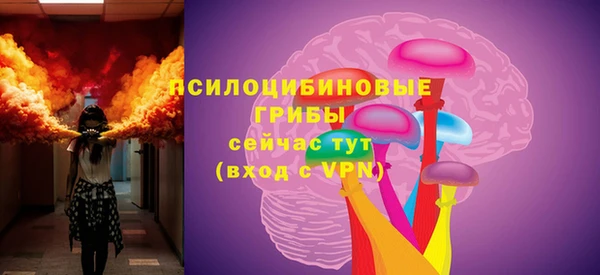 гидра Аркадак
