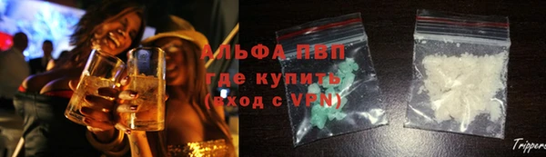 PSILOCYBIN Армянск