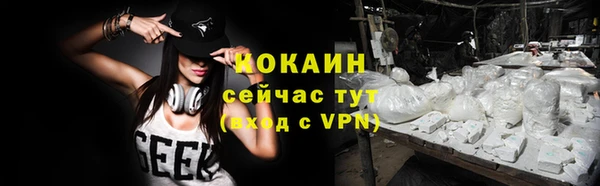 гидра Аркадак