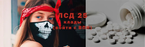 PSILOCYBIN Армянск