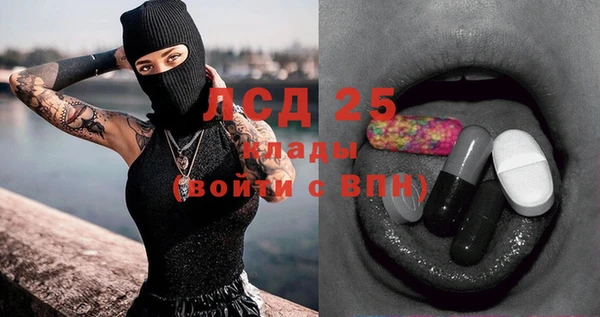 гидра Аркадак